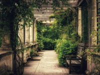 Hospice charity's 'Open Gardens' bloom again for 2026