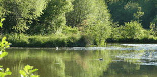 Devon sets out long-term plan to help nature recover