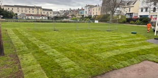 Lawn restoration begins after SWW disruption
