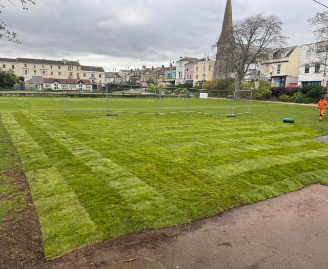Lawn restoration begins after SWW disruption