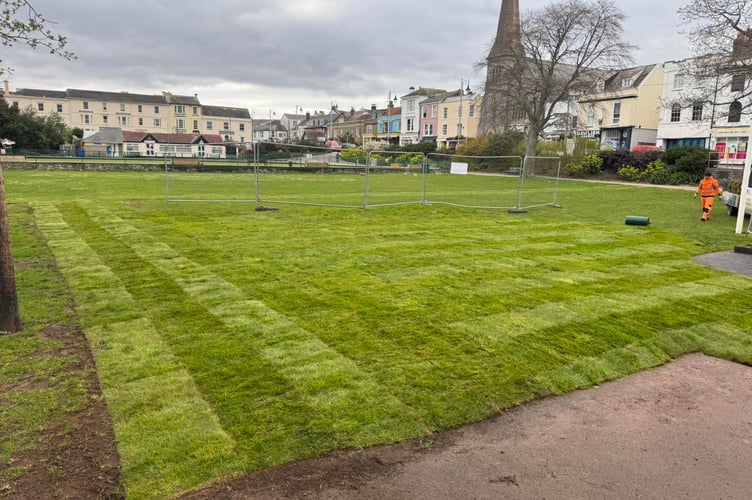 Stuart Gray Maintenance have already laid 290 rolls of new turf on the Lawn at Dawlish. Photo Stuart Gray Maintenance