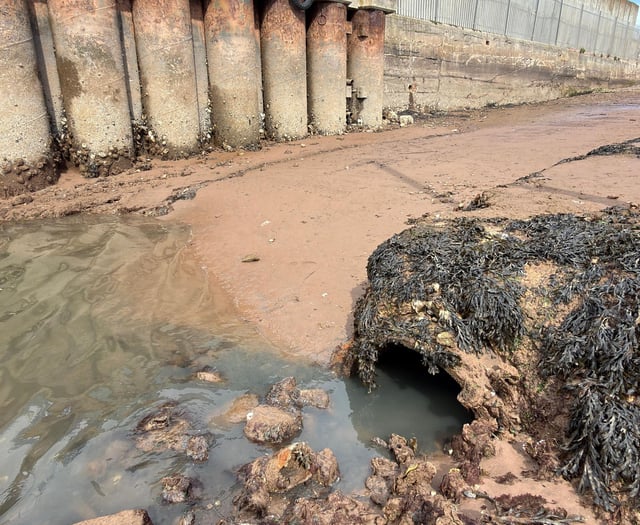 Sewage spill sparks calls for sewer improvements 