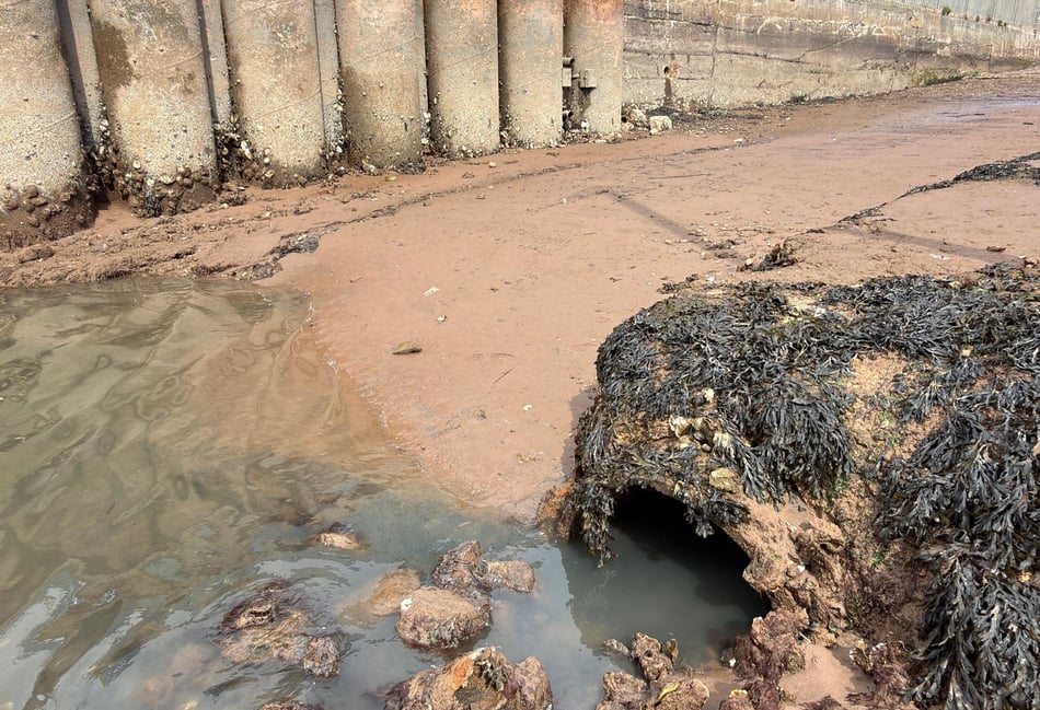 Sewage spill sparks calls for sewer improvements 