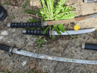 Police give insight into busy week