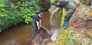 Volunteers remove mattress dumped in waterway