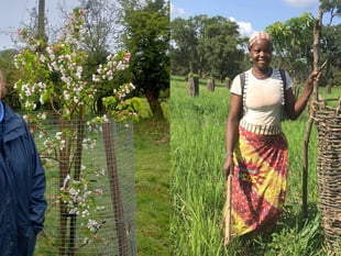 Charity aids Malian farmers