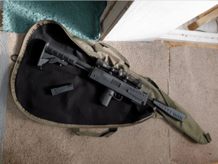 Police seize BB gun as officers share 'snapshot' of week's activities