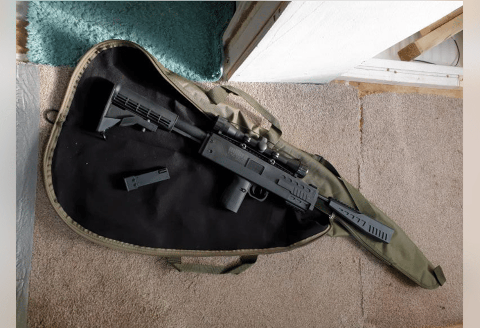 Police seize BB gun as officers share 'snapshot' of week's activities