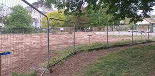 Trees to be assessed after SWW work 