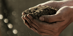 Subsidised composting bins now available in Devon
