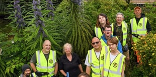 Guerrilla gardeners spruce up Teignmouth station