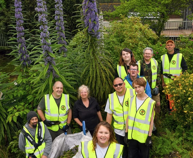 Guerrilla gardeners spruce up Teignmouth station
