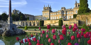 One of Britain’s most extraordinary days out at Blenheim Palace 