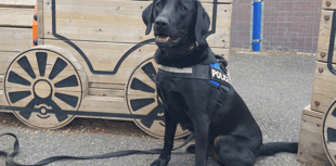 Police dog Ken proves popular as police share 'snapshot' of week 