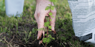 Lottery-backed project to inspire locals about trees and woodland