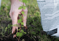 MoorTrees' lottery-backed project to inspire locals about trees and woodland
