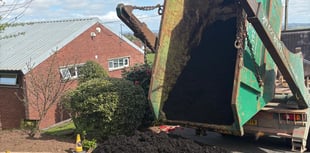 Community allotment receives six-tonne compost donation