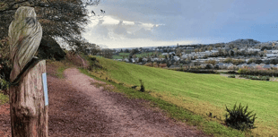 Council adopts 'bold' Local Plan 