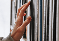 A decade of stories: Devon’s library service celebrates 10 years