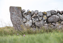Ellwood Classic set for Dartmoor debut this summer