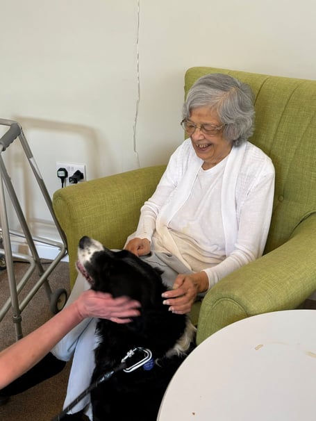 All dogs are welcome at Mulberry House Residential Home's dog show. Photo contributed 