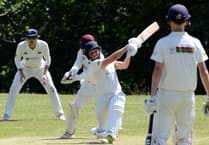 Teignmouth & Shaldon well-beaten on home turf