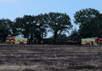 Firefighters contain fast-moving wildfire near River Dart Country Park