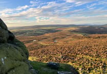 Watchdog says Devon councils shake-up is a ‘disaster’
