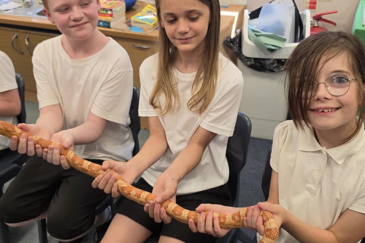 Up close with creepy crawlies are children at All Saints Marsh C of E Academy. Photo supplied