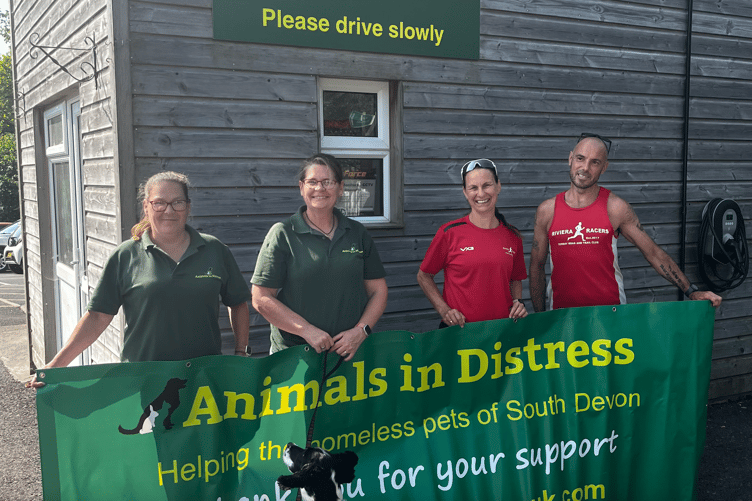 Animals in Distress