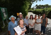 Petition organiser fears 'absolute chaos' if Teigngrace Road closes
