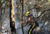 Multi-station response to fire at Decoy woods