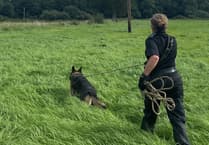 Police seek new leads in quest for dog training sites