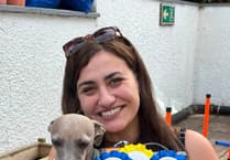 Dog show delights Bovey Tracey care home residents
