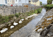 River Lemon boulder rumour quashed by Environment Agency