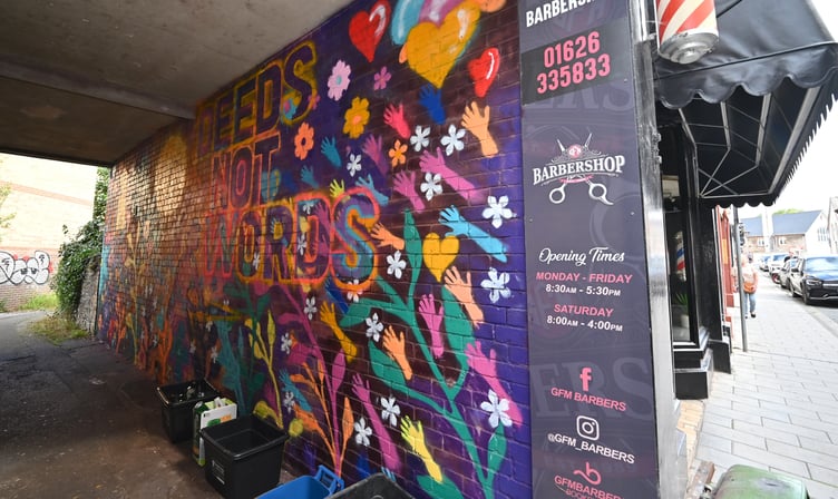 The mural which now brightens the access lane off Union Street in Newton Abbot