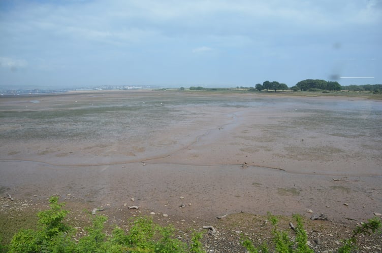 The Exe Estuary trail at Stacross to Eastdon. Photo Lewis Clarke