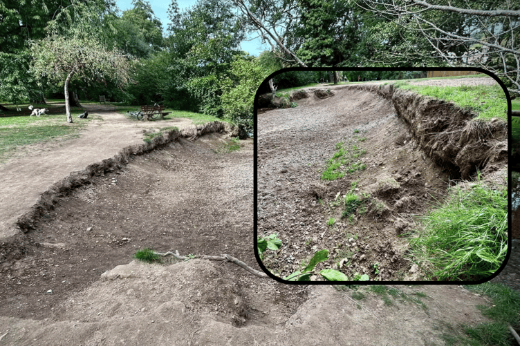The photo show the erosion of the river bank at Mill Marsh Park, Bovey Tracey