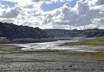 South West Water: recent rain not enough to end hosepipe ban