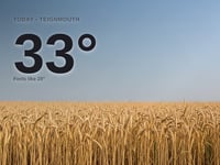 Teignmouth: sunny day, high of 33°C